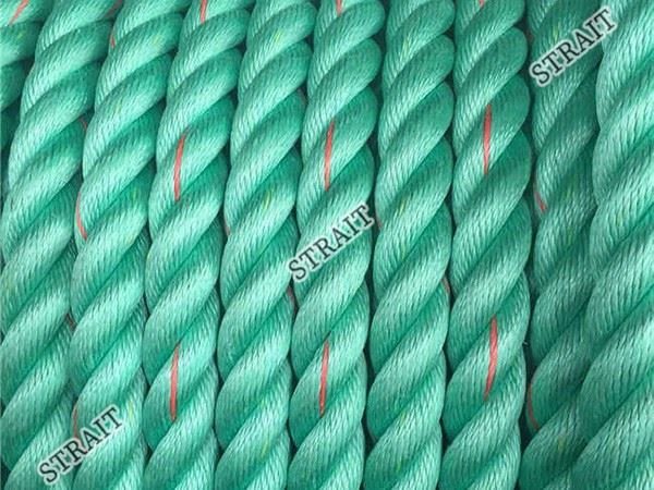 Polypropylene Vs Polyurethane